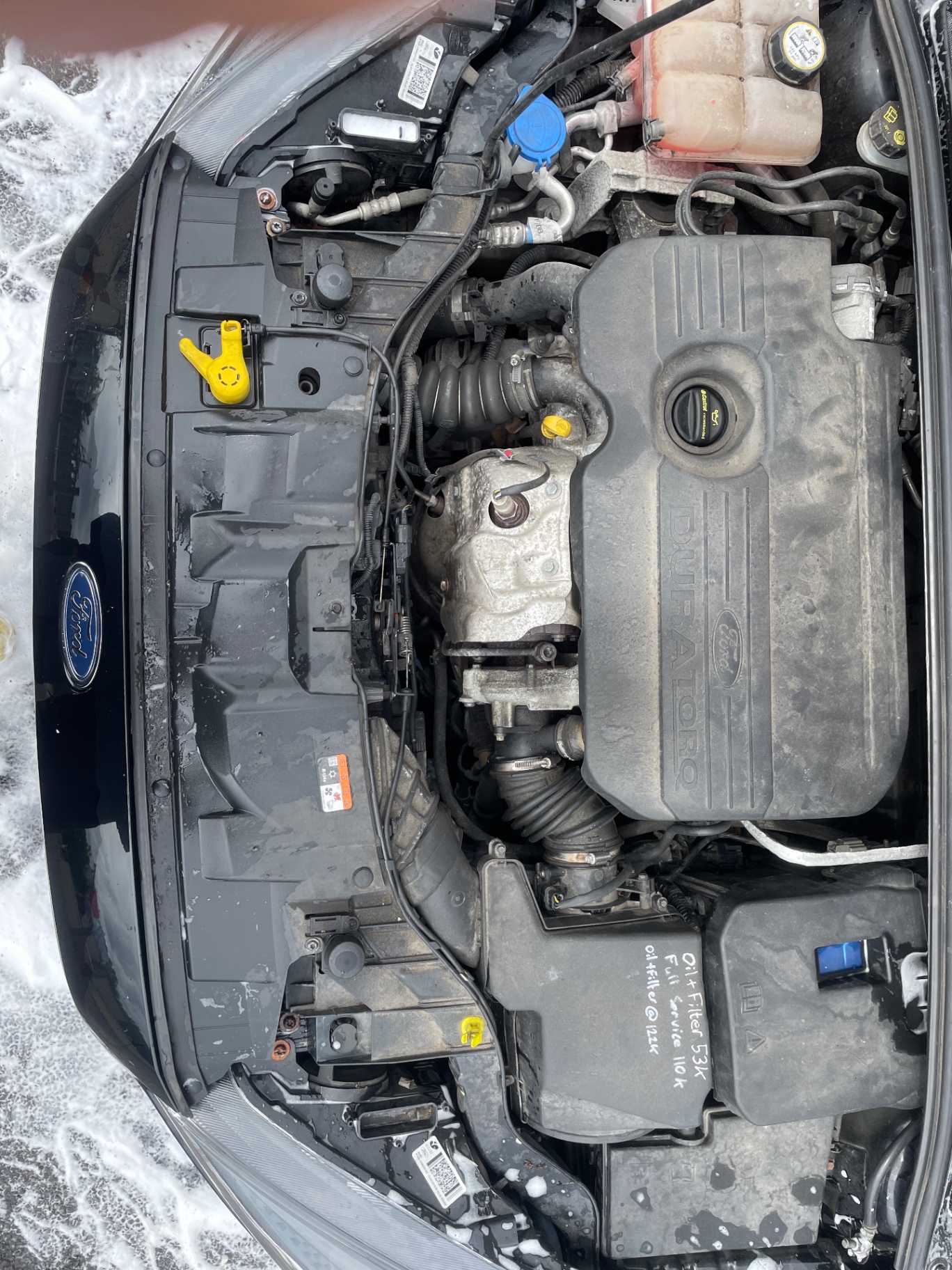 Ford engine bay before detailing
