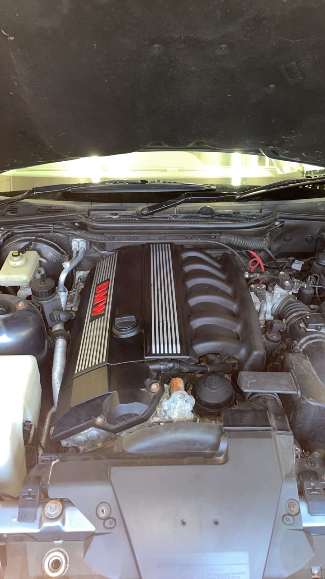 BMW engine bay after detailing by NG AutoCare